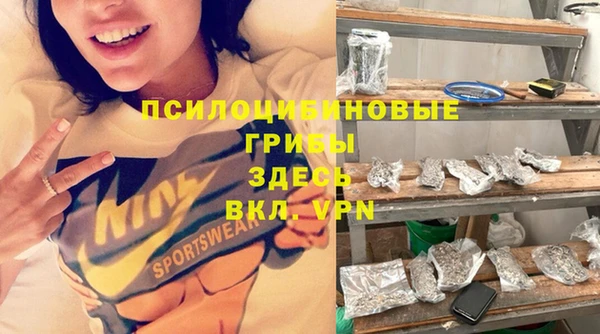 крисы Алексин
