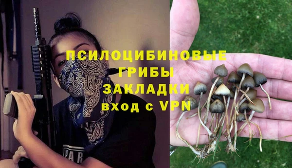 стафф Снежинск