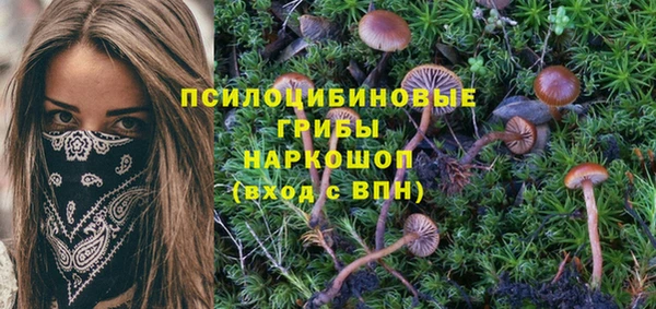 мяу мяу мука Слюдянка