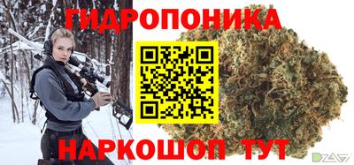 дживик Бийск