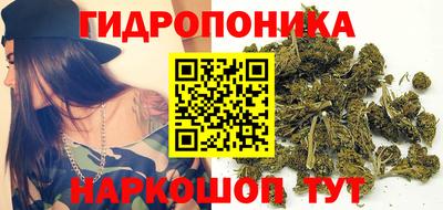 Альфа ПВП Берёзовский