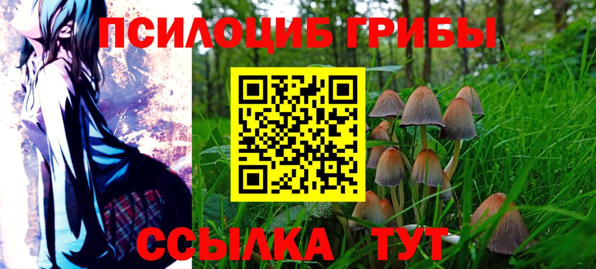 Клин  Галлюциногенные грибы ЛСД  Псилоцибиновые грибы ЛСД  Вход с VPN 